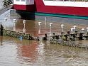 Hochwasser (316)